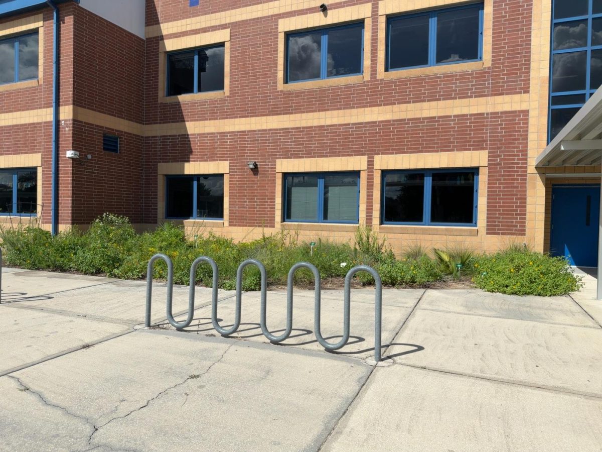 Before: an overgrown bed of weeds along the school building, with a bike rack in front.