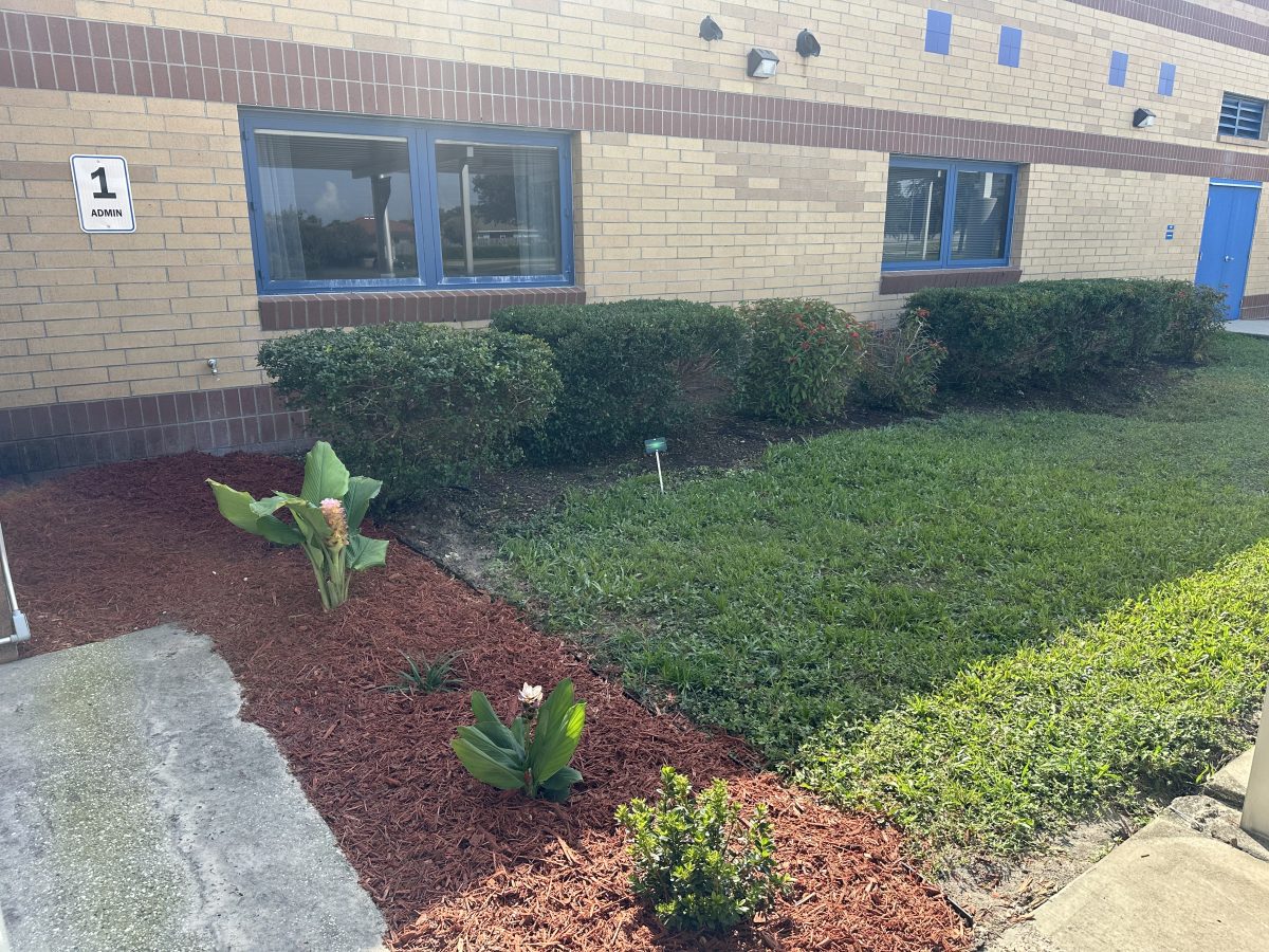 After: the same corner with hedges trimmed, fresh mulch, and new flowering plants.