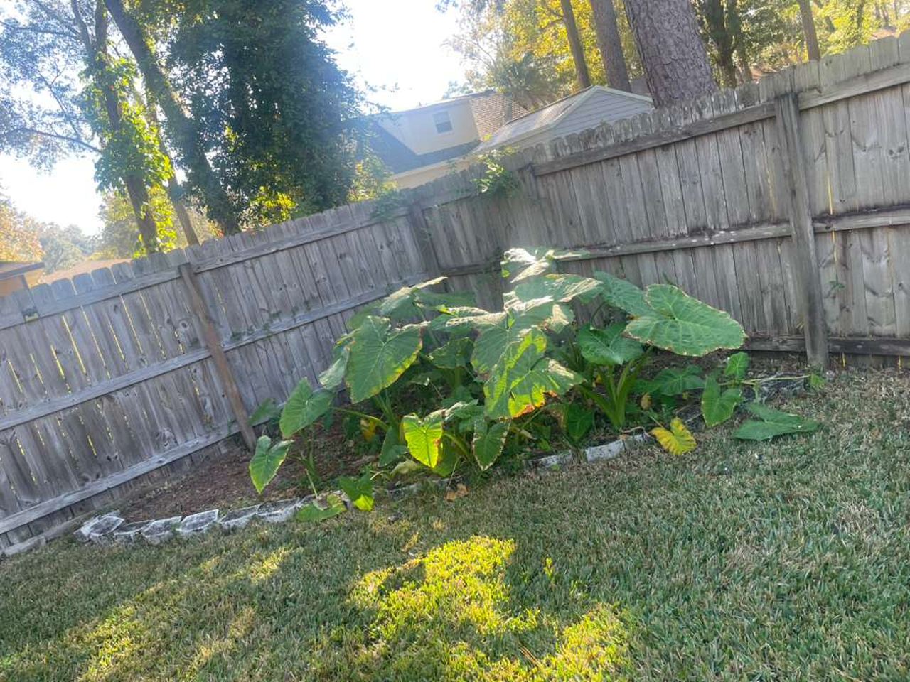 Before: an overgrown corner garden bed with weeds spilling over a broken stone border.